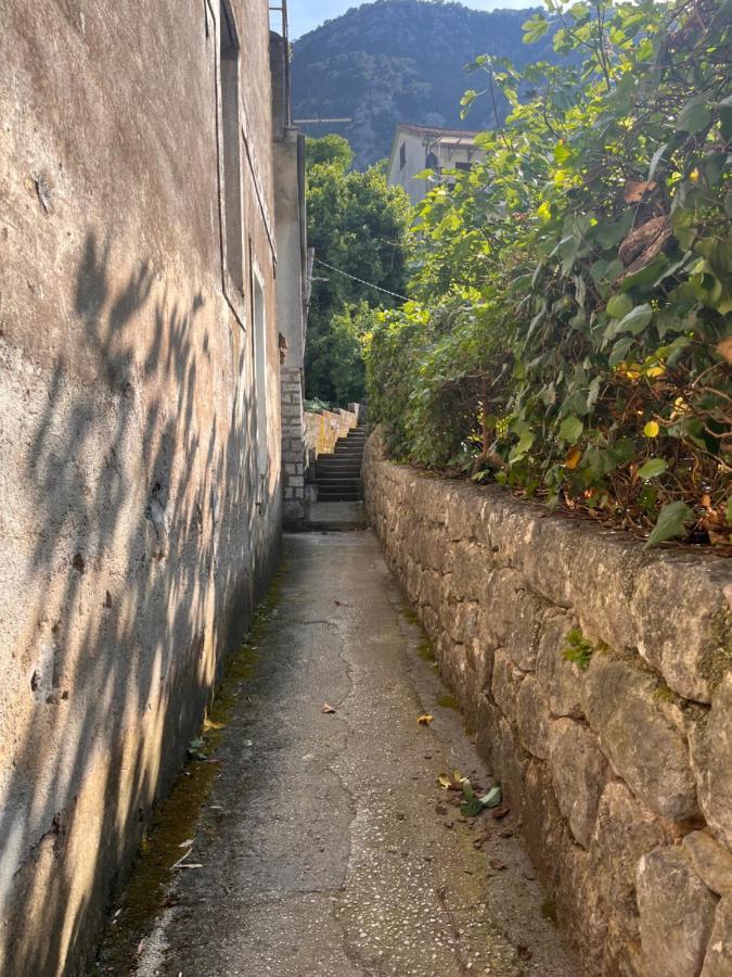 Apartment With Sea View Kotor Exterior photo